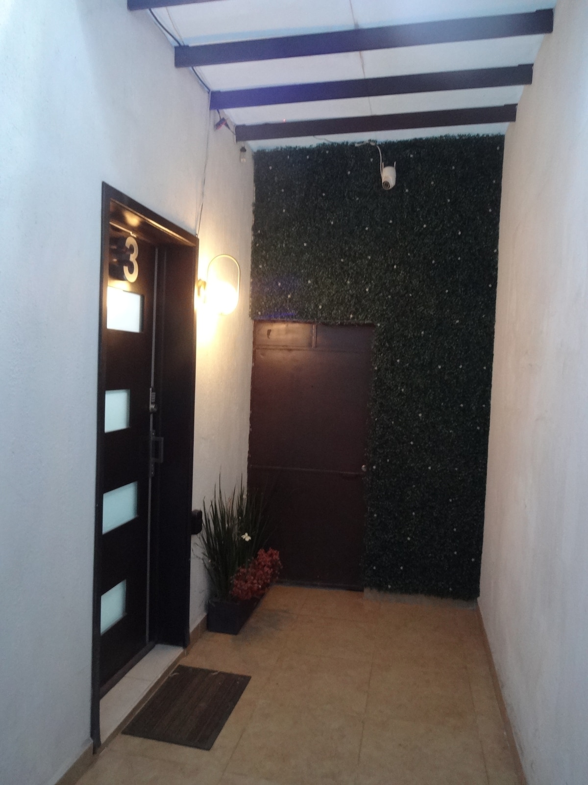 An entrance is depicted, showcasing a door numbered '3' with modern glass panels. Soft lighting from a wall-mounted fixture illuminates the area, which features a green vertical garden on one side. A potted plant with flowers rests on the ground, adding a touch of color.