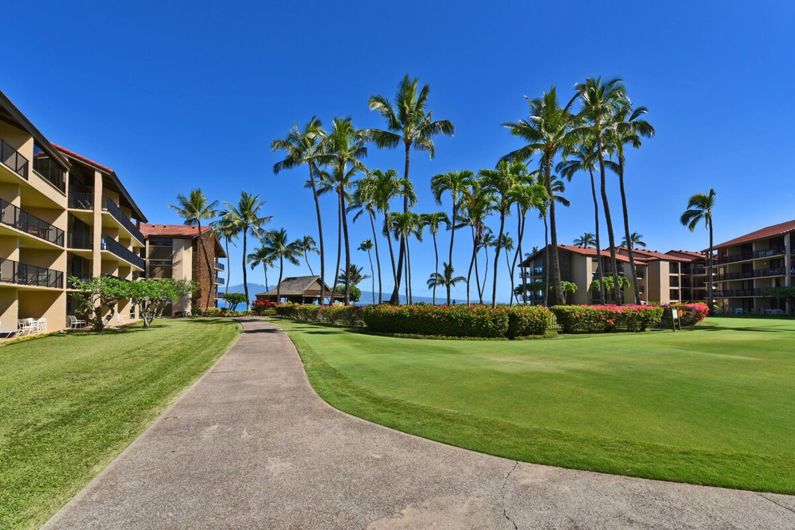 Condo in Lahaina · ★4.43 · 1 bedroom · 2 beds · 1 bath - Image 34