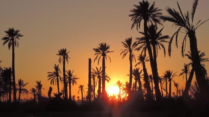 La Rose Des Sables - Maroc