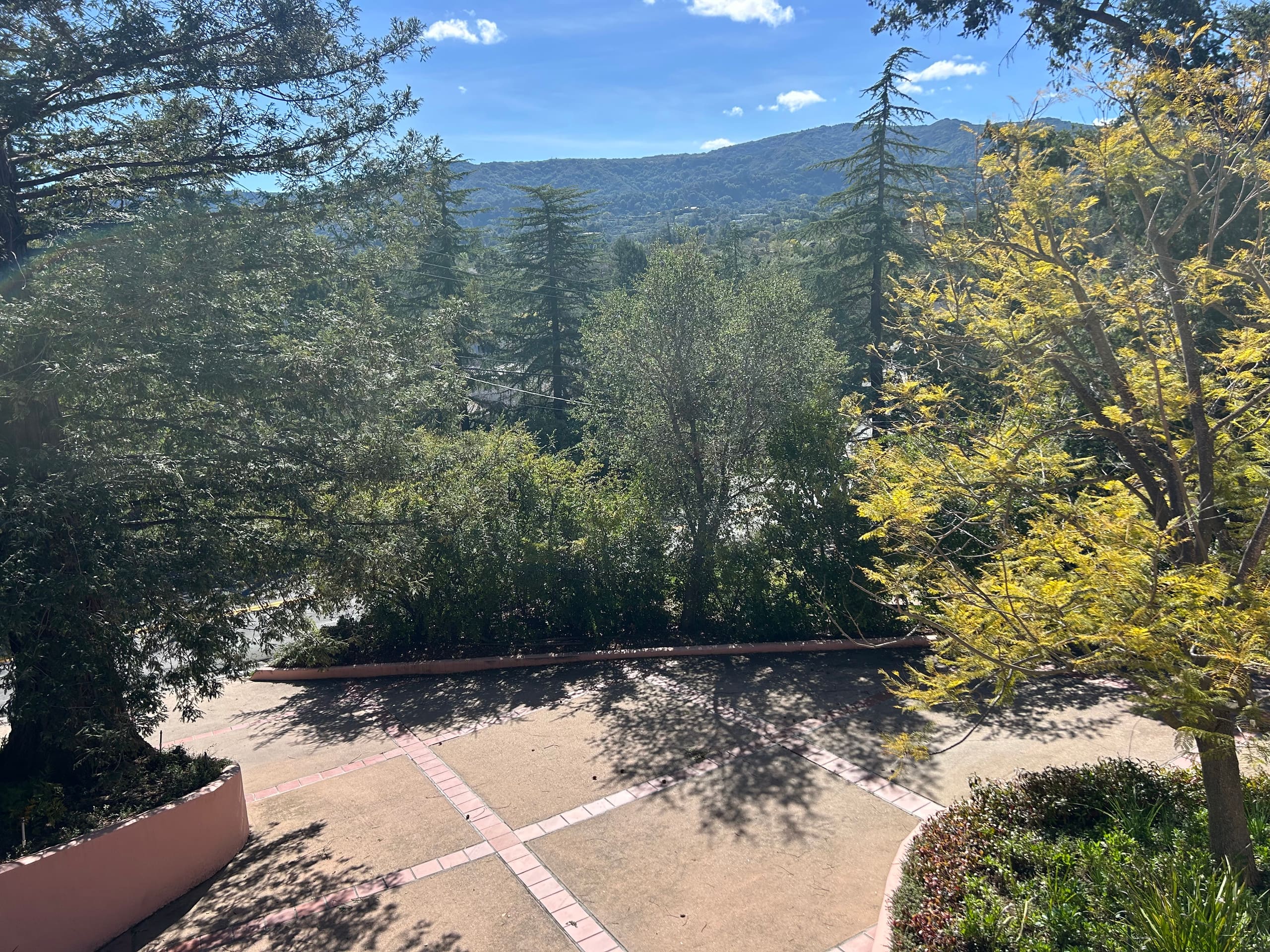 Cozy Guesthouse with Pool & Redwood Views - Photo 41