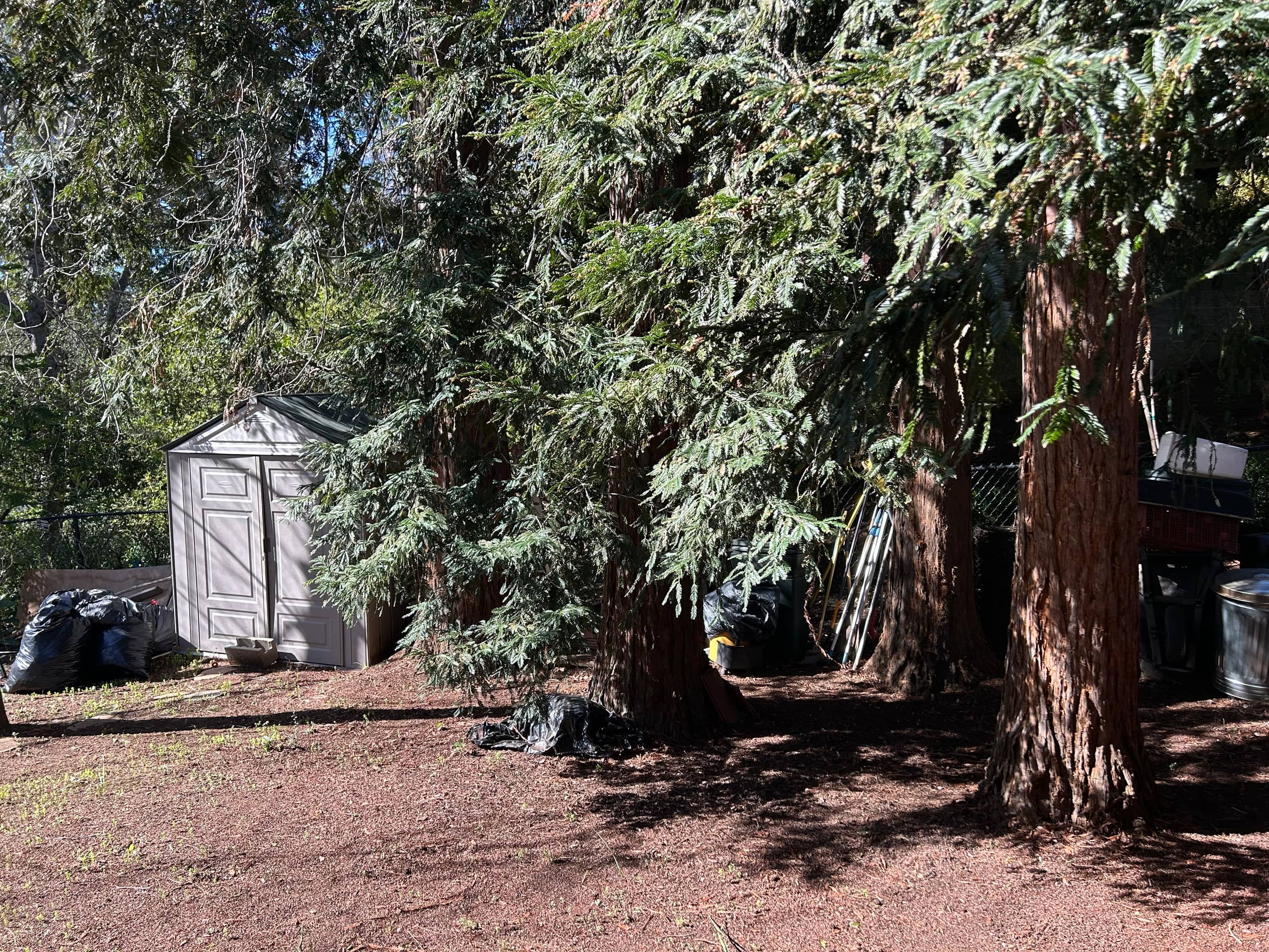 Cozy Guesthouse with Pool & Redwood Views - Photo 25