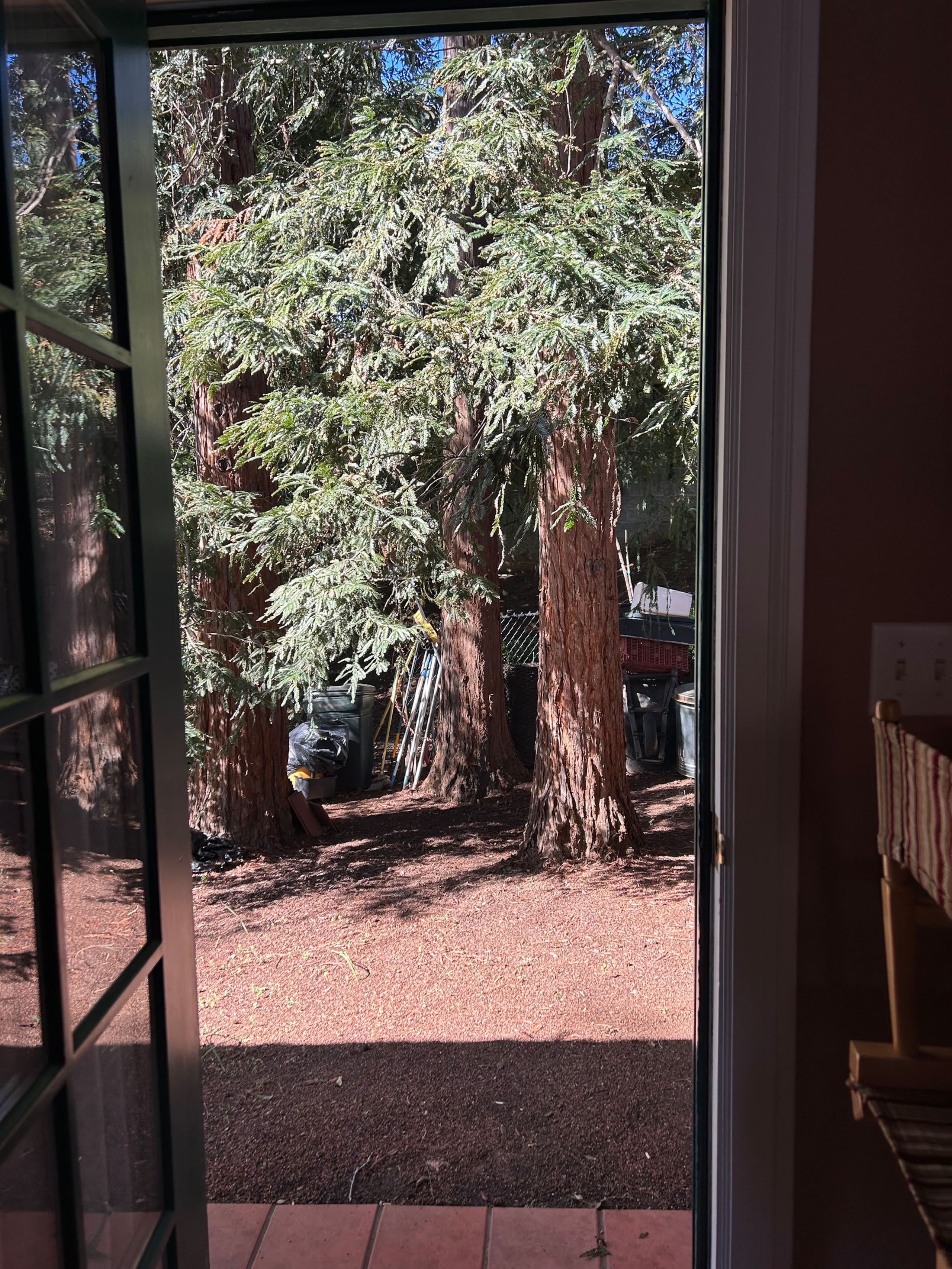 Cozy Guesthouse with Pool & Redwood Views - Photo 24