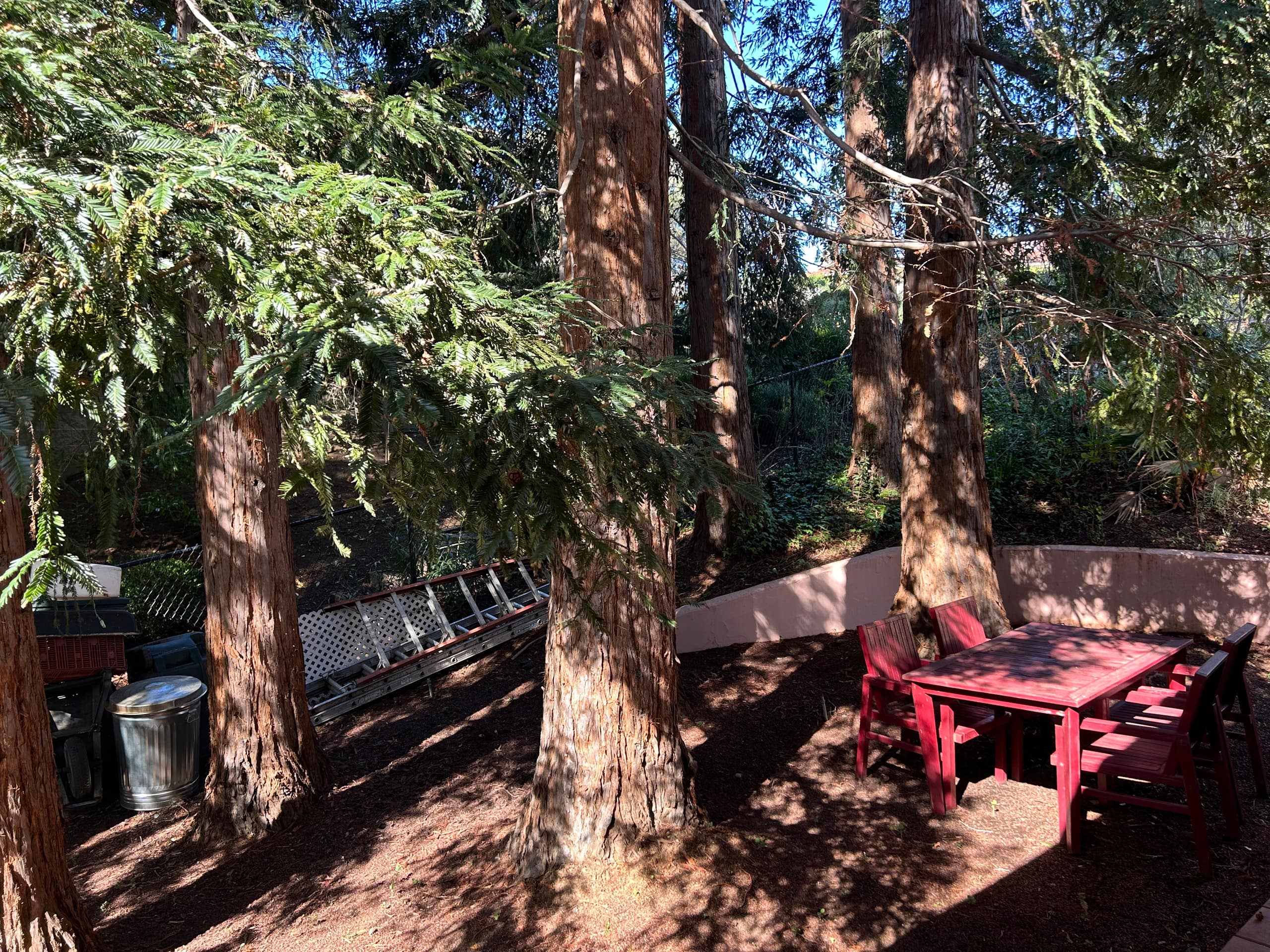 Cozy Guesthouse with Pool & Redwood Views - Photo 29