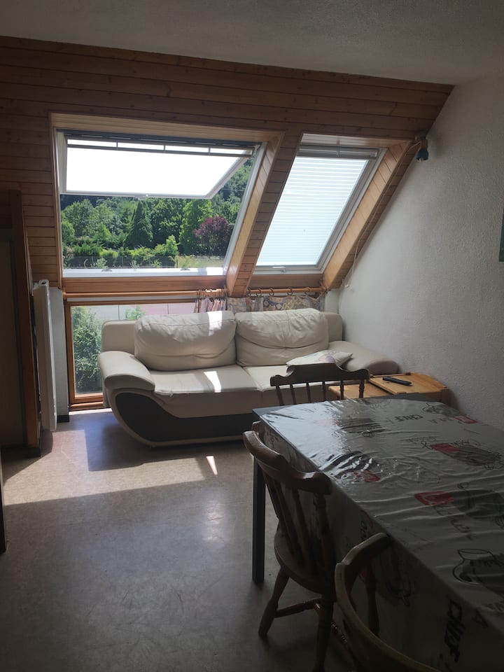 Appartement Dans Résidence Calme - Vielle-Aure