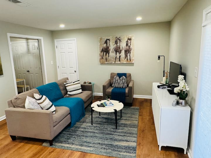 Just Updated Ground Floor One Bedroom Apartment - Smyrna, GA