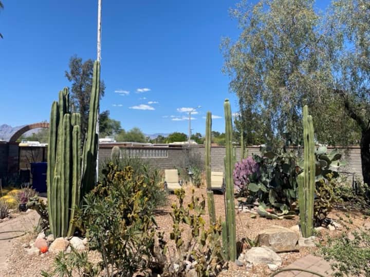 Desert Retreat | Private Patio | Near Reid Park - Tucson, AZ