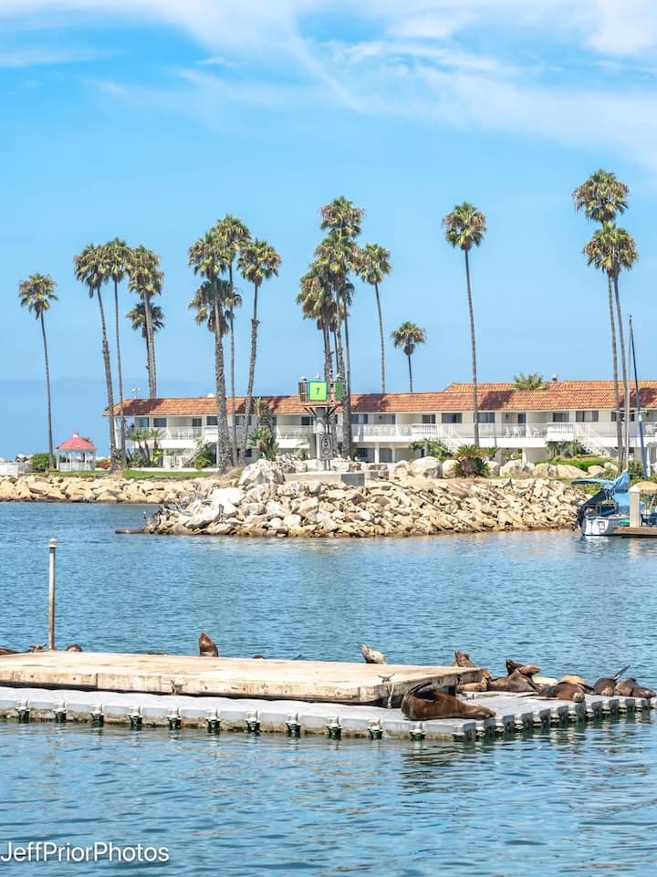 💜 THE NEST 💜 - Apartments for Rent in Fallbrook, California
