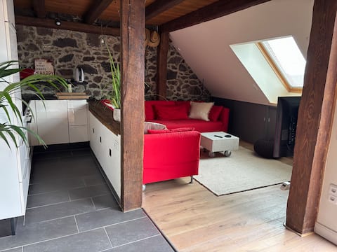 Leistungsstarkes Airbnb: Historic holiday apartment with sauna and rooftop terrace in Hessen