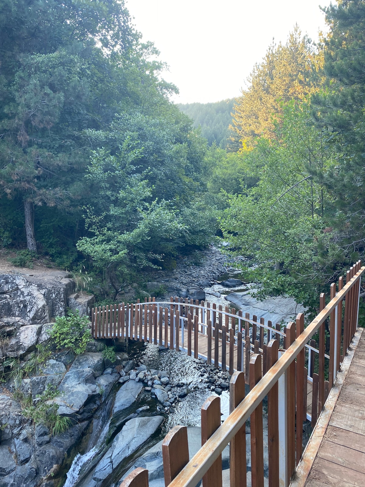 A wooden bridge is seen gently arching over a narrow river surrounded by lush greenery. The bridge’s railing is made of wooden planks, complementing the natural landscape of rocks and foliage. Sunlight filters through the trees, highlighting the serene environment.