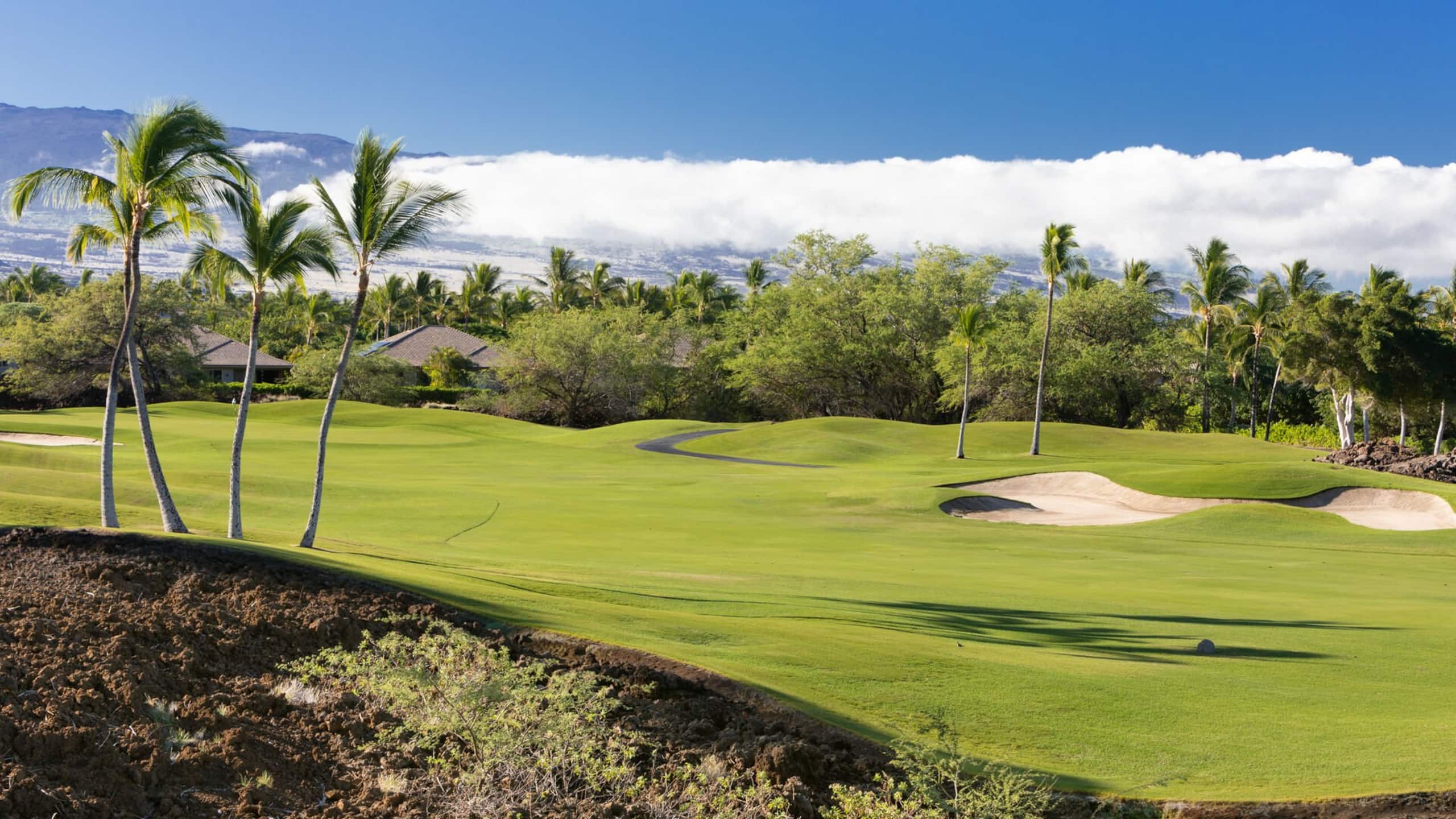 Home in Waimea · ★4.86 · 3 bedrooms · 5 beds · 3 baths - Image 31