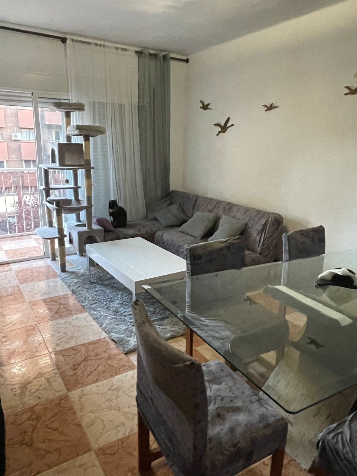 A well-lit living area features a comfortable gray sofa and a glass coffee table, complemented by a soft rug. A dining table with upholstered chairs sits nearby. Natural light enters through a glass door leading to a balcony, while decorative birds adorn the wall.