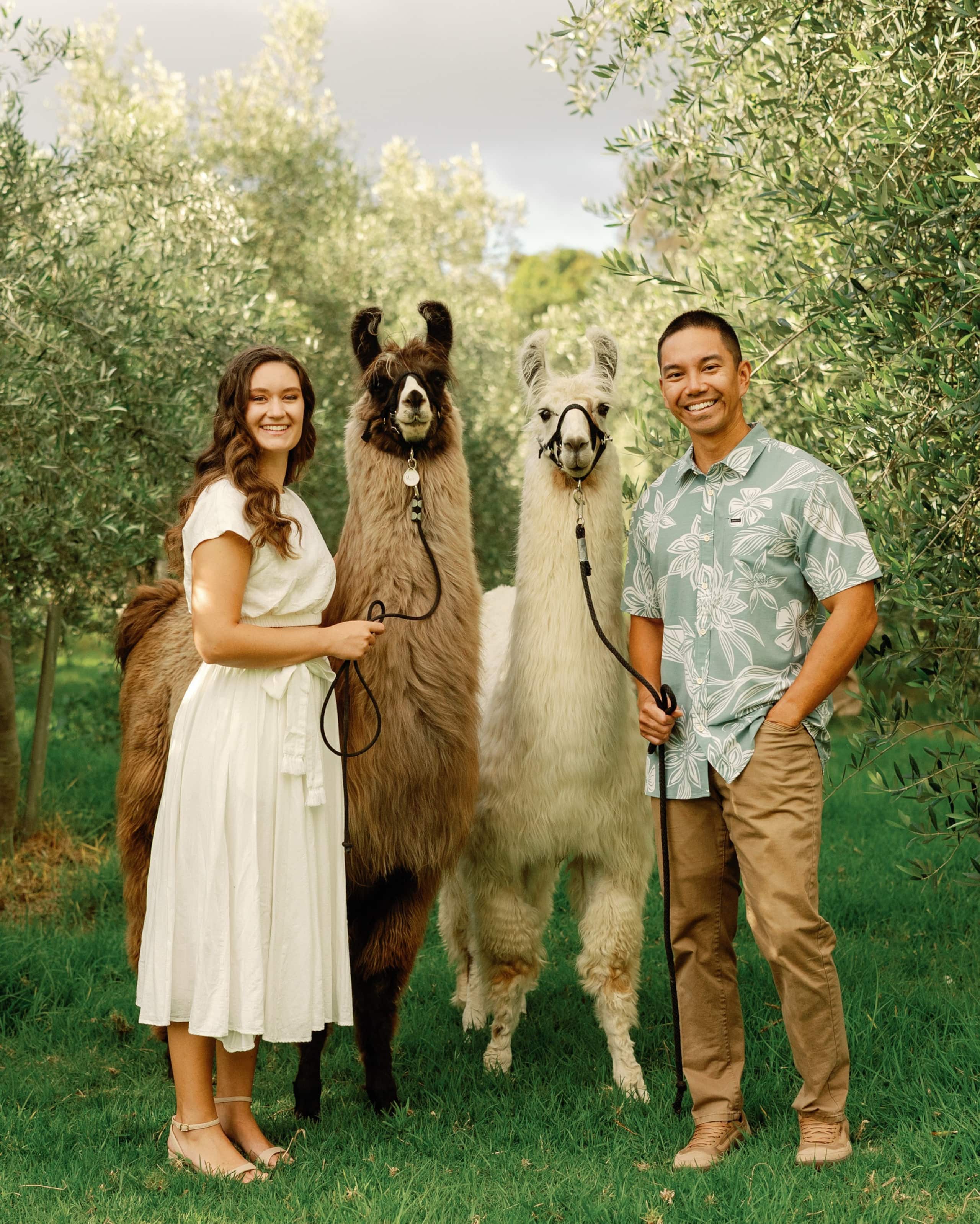 Upcountry Alpaca, Llama, and Rabbit working farm - Photo 4