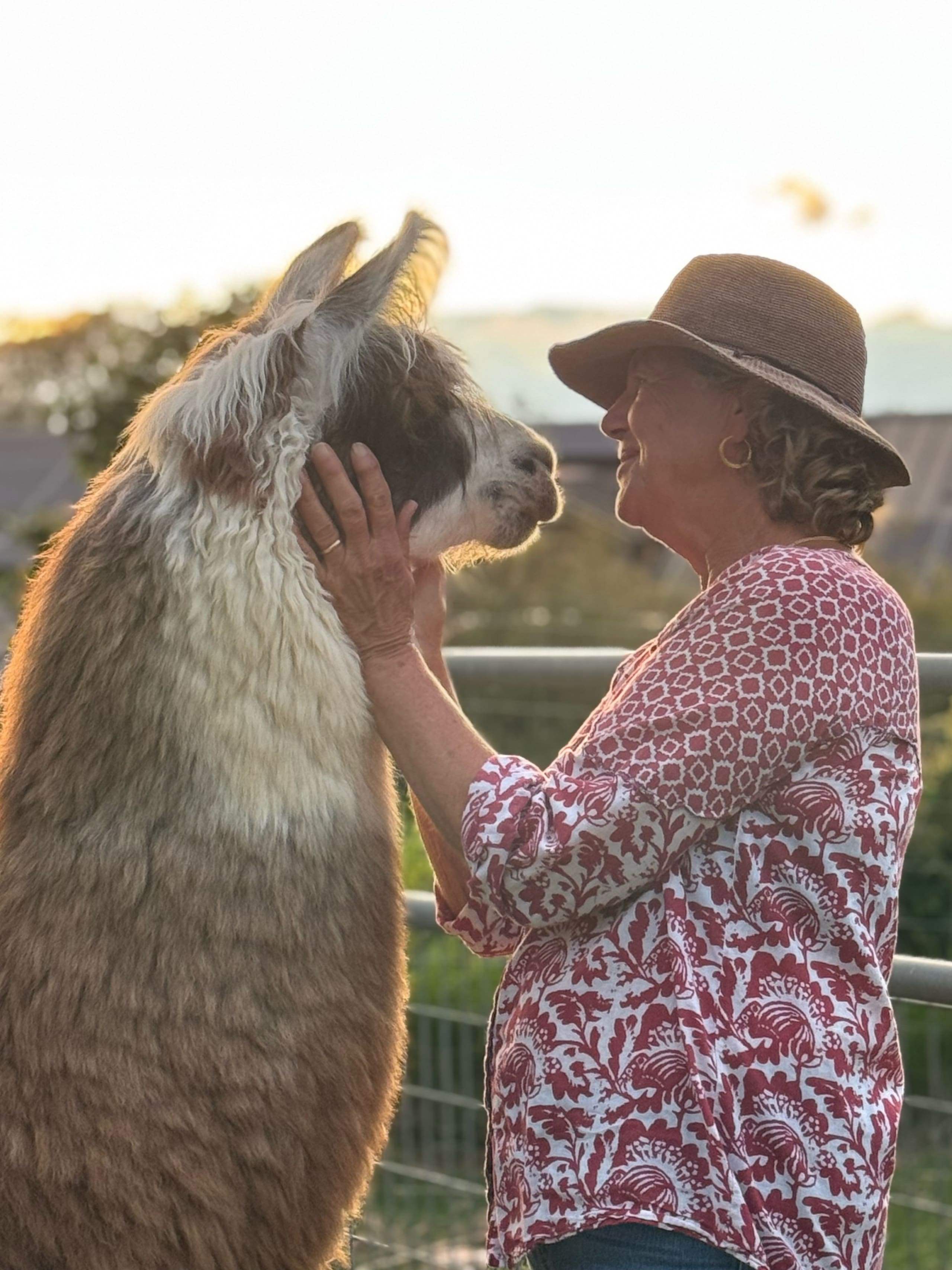 Upcountry Alpaca, Llama, and Rabbit working farm - Photo 10