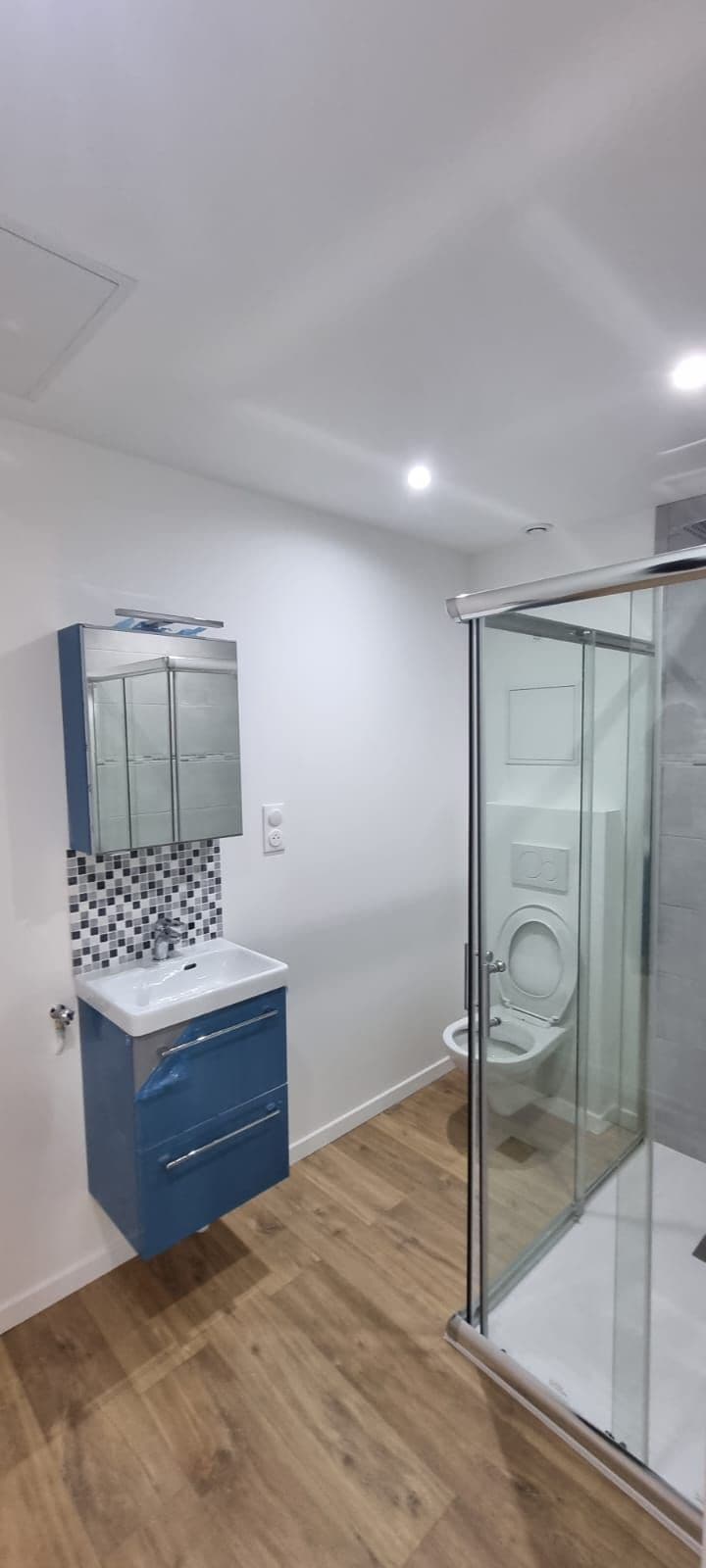 A modern bathroom is displayed, featuring a glass shower enclosure and a compact toilet. A vanity with a blue cabinet and mirror reflects soft lighting from the ceiling. Neutral-toned walls and wooden flooring create a clean and contemporary atmosphere.