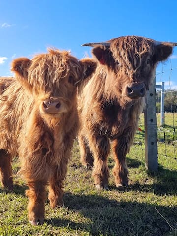 Twin River Ranch – The Main House and The Flat