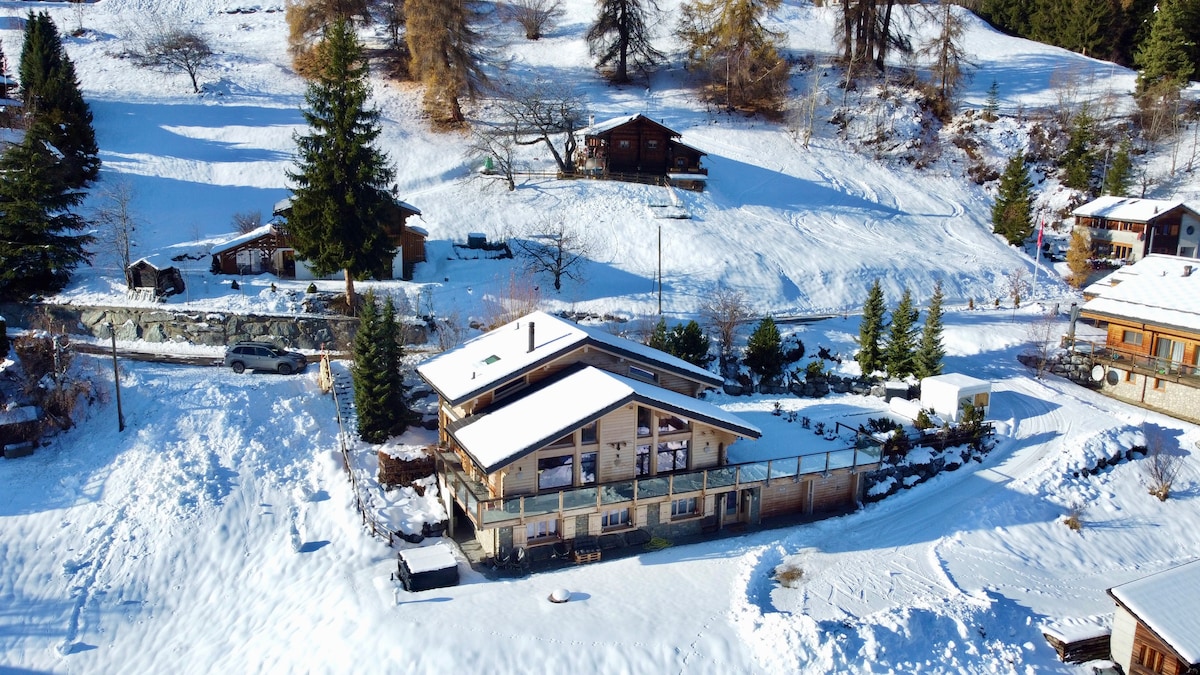 Top performing Airbnb: Luxury Swiss chalet sleeps 14 and dog friendly in Riddes