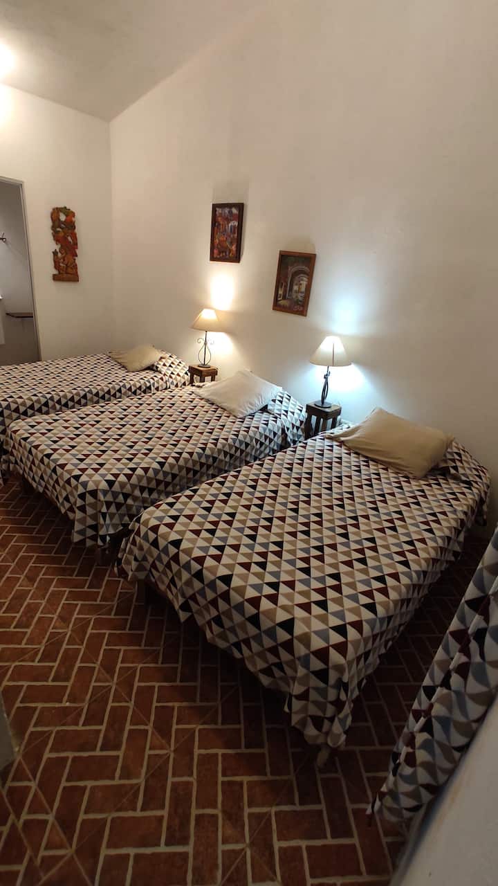 Chumba cha 2 kilicho na vitanda vitatu vya mtu mmoja na bafu lake la kujitegemea nyuma ya chumba. 