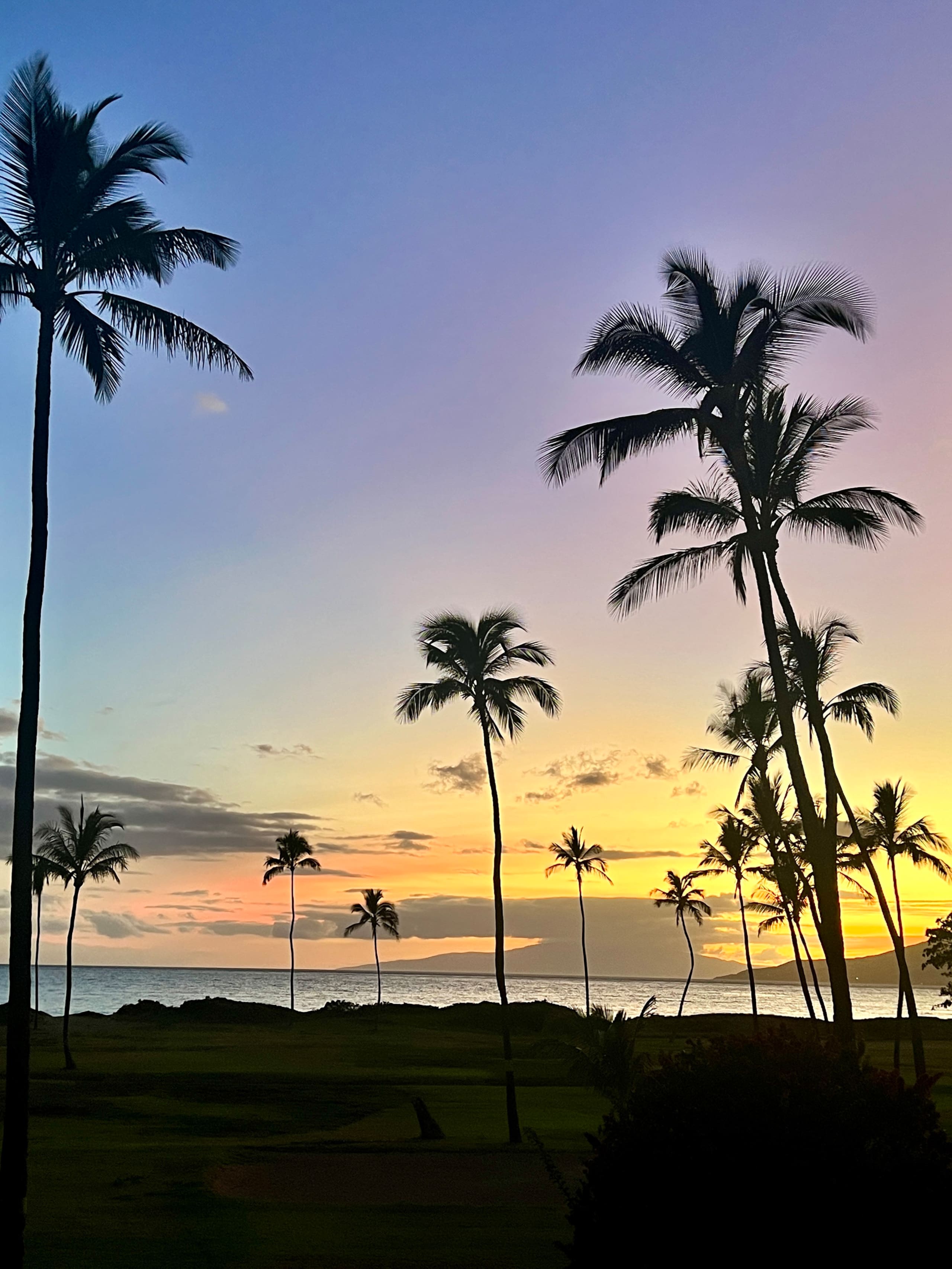 Condo in Kihei · ★4.8 · 2 bedrooms · 3 beds · 2 baths - Image 46