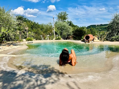 Villa in Chianti: Swimming Pool and Beach Bar