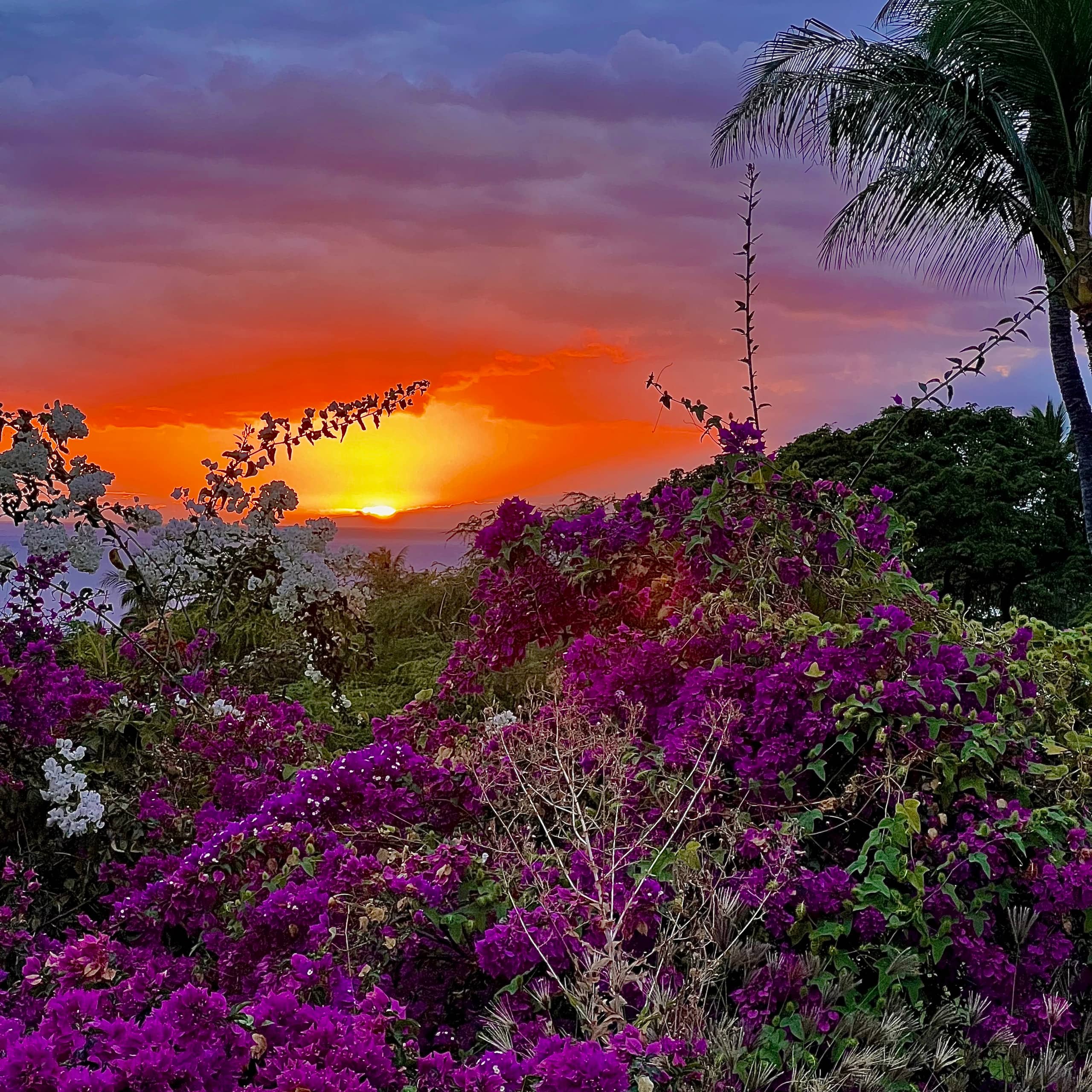 Condo in Kihei · ★4.98 · 2 bedrooms · 4 beds · 2 baths - Image 3