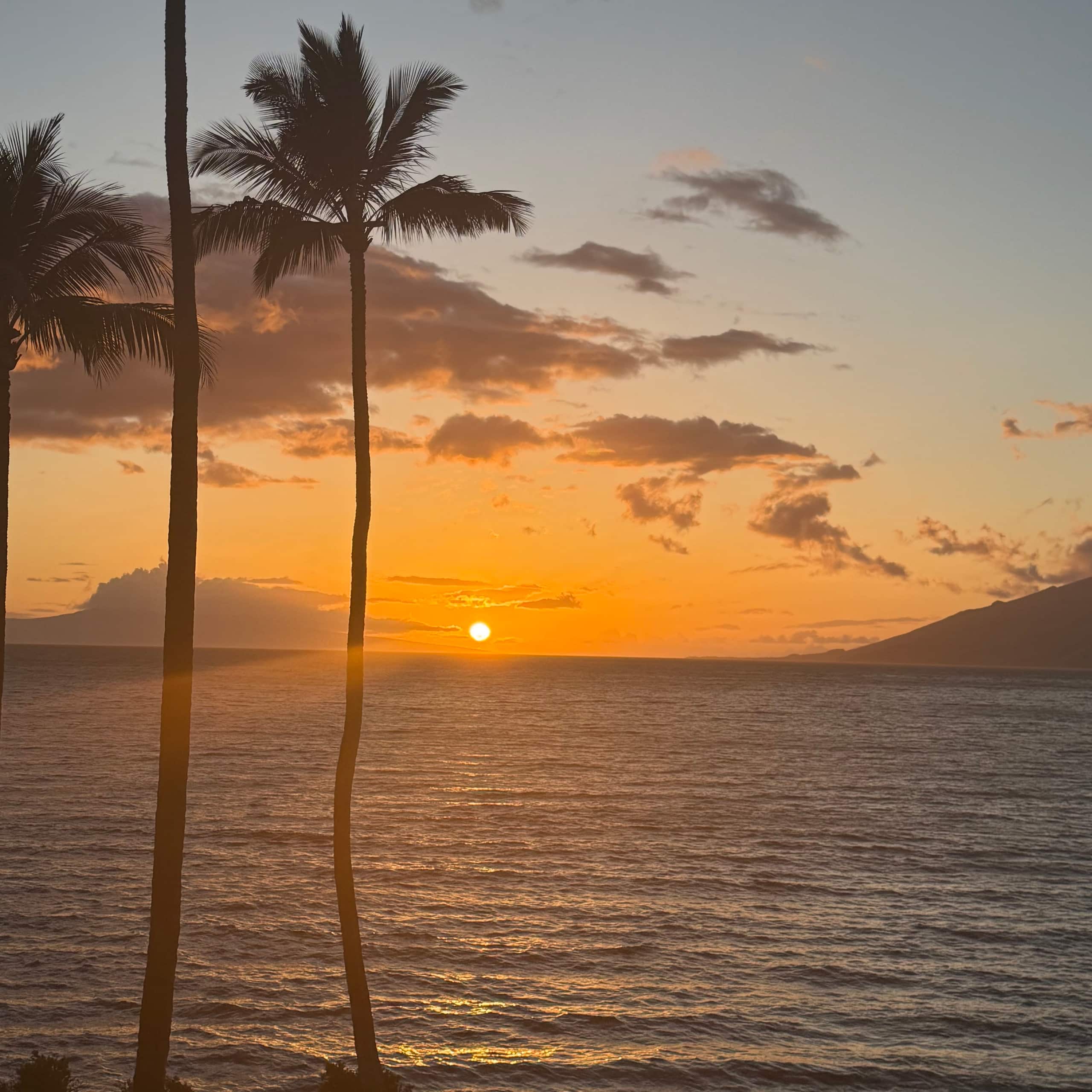 Condo in Kihei · ★4.98 · 2 bedrooms · 4 beds · 2 baths - Image 4