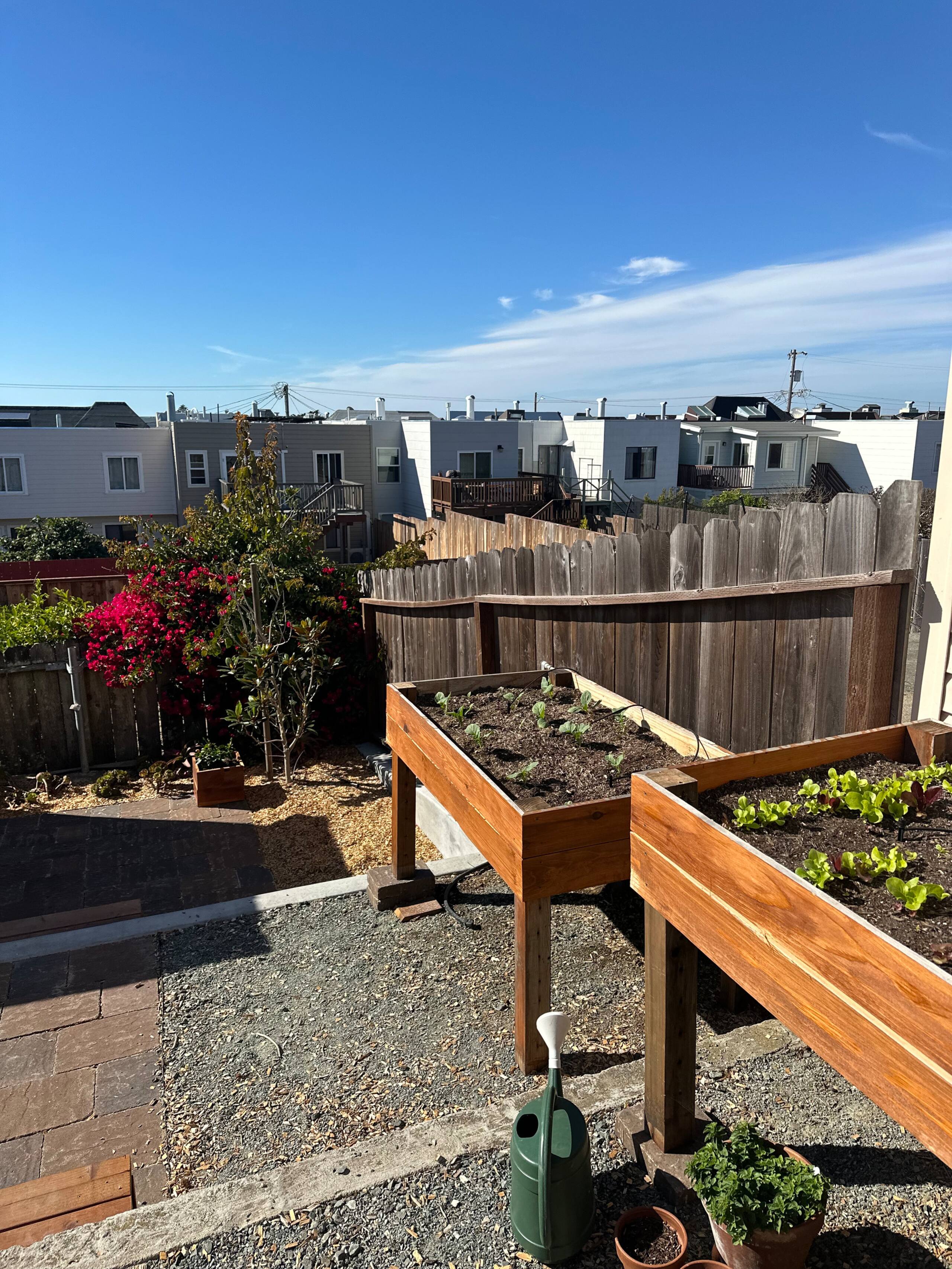 Home in San Francisco · ★4.94 · 3 bedrooms · 3 beds · 2 baths - Image 37