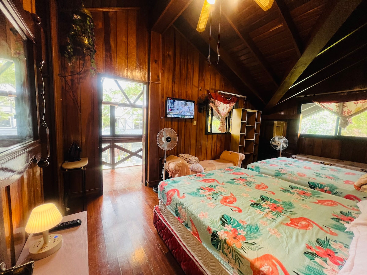 Best Baguio Ambiance Trees & View Billiards T-tennis