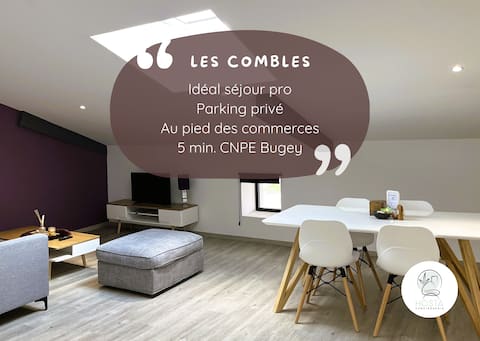 Les combles_ Charming T2 ideal CNPE Bugey-PIPA