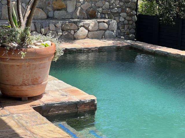 Misty Mornings gallery image 4