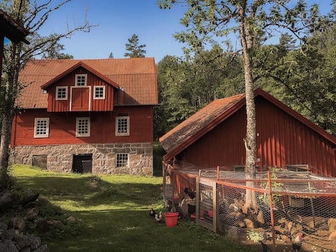 Historic mill yard in Kvissle nature reserve