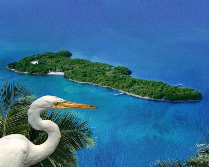 Seabird Key, Private Island Stunning home w A/C Villas for Rent in