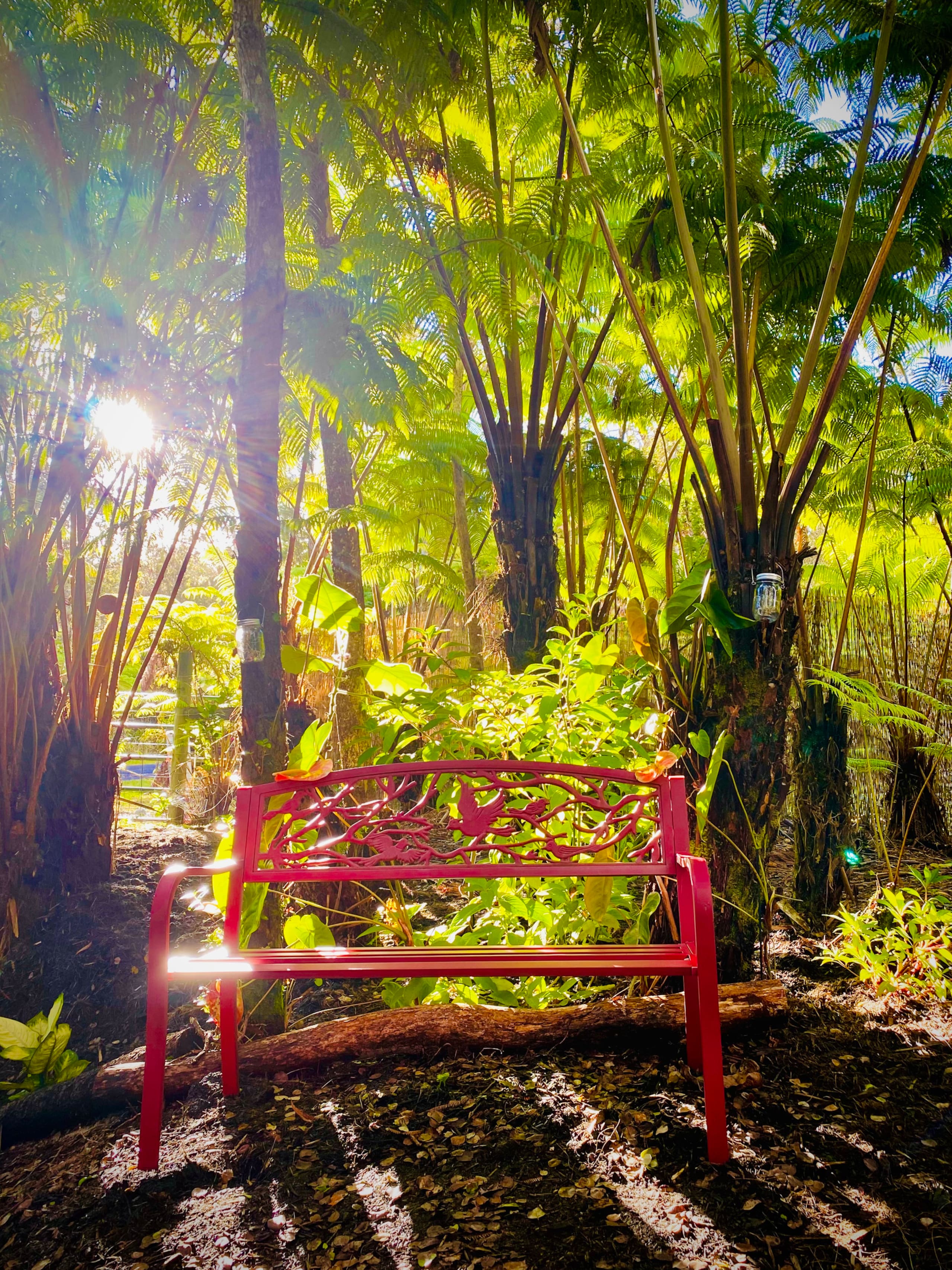 Guesthouse in Volcano · ★4.99 · 1 bedroom · 1 bed · 1 bath - Image 13