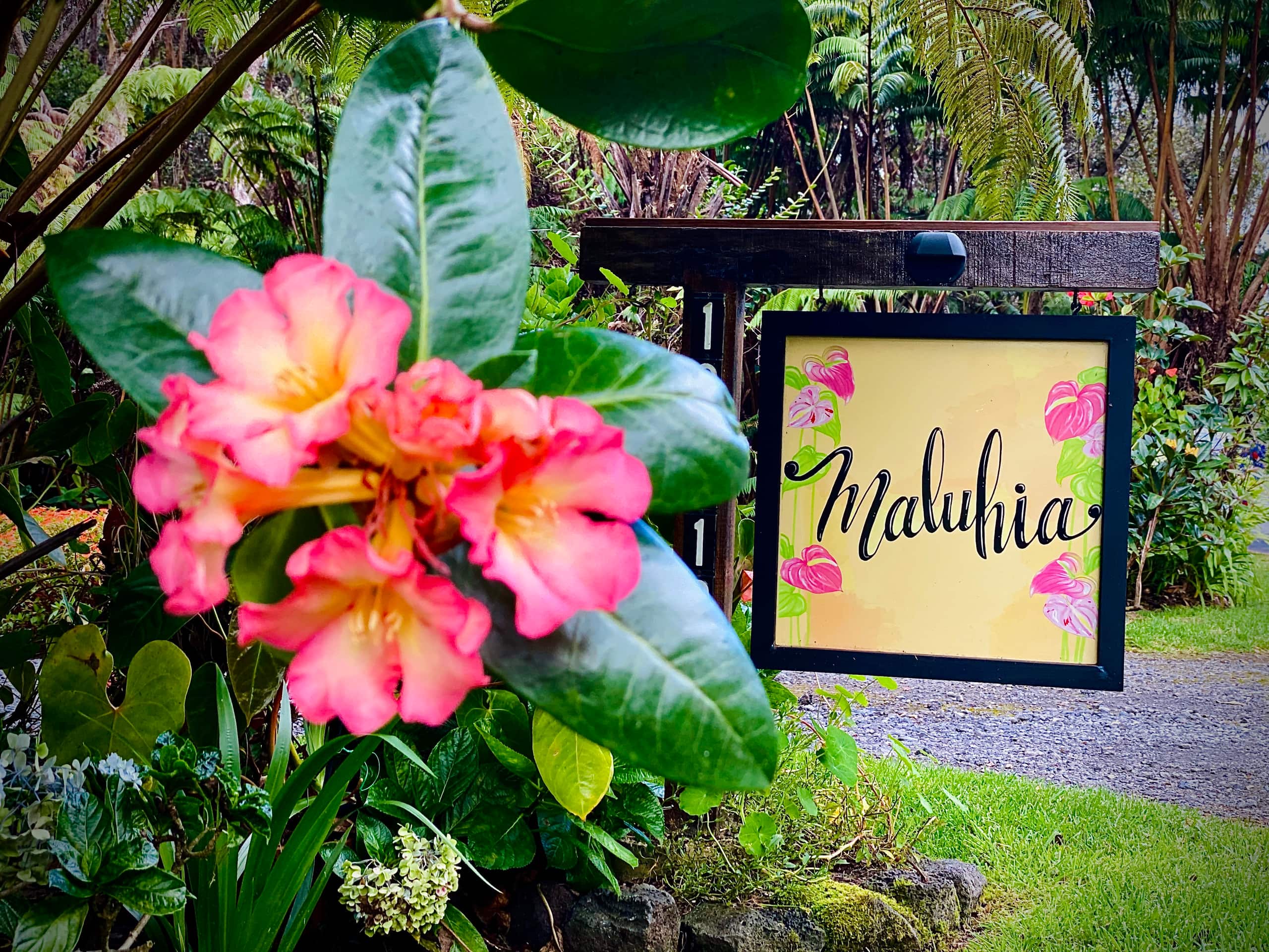 Guesthouse in Volcano · ★4.99 · 1 bedroom · 1 bed · 1 bath - Image 11
