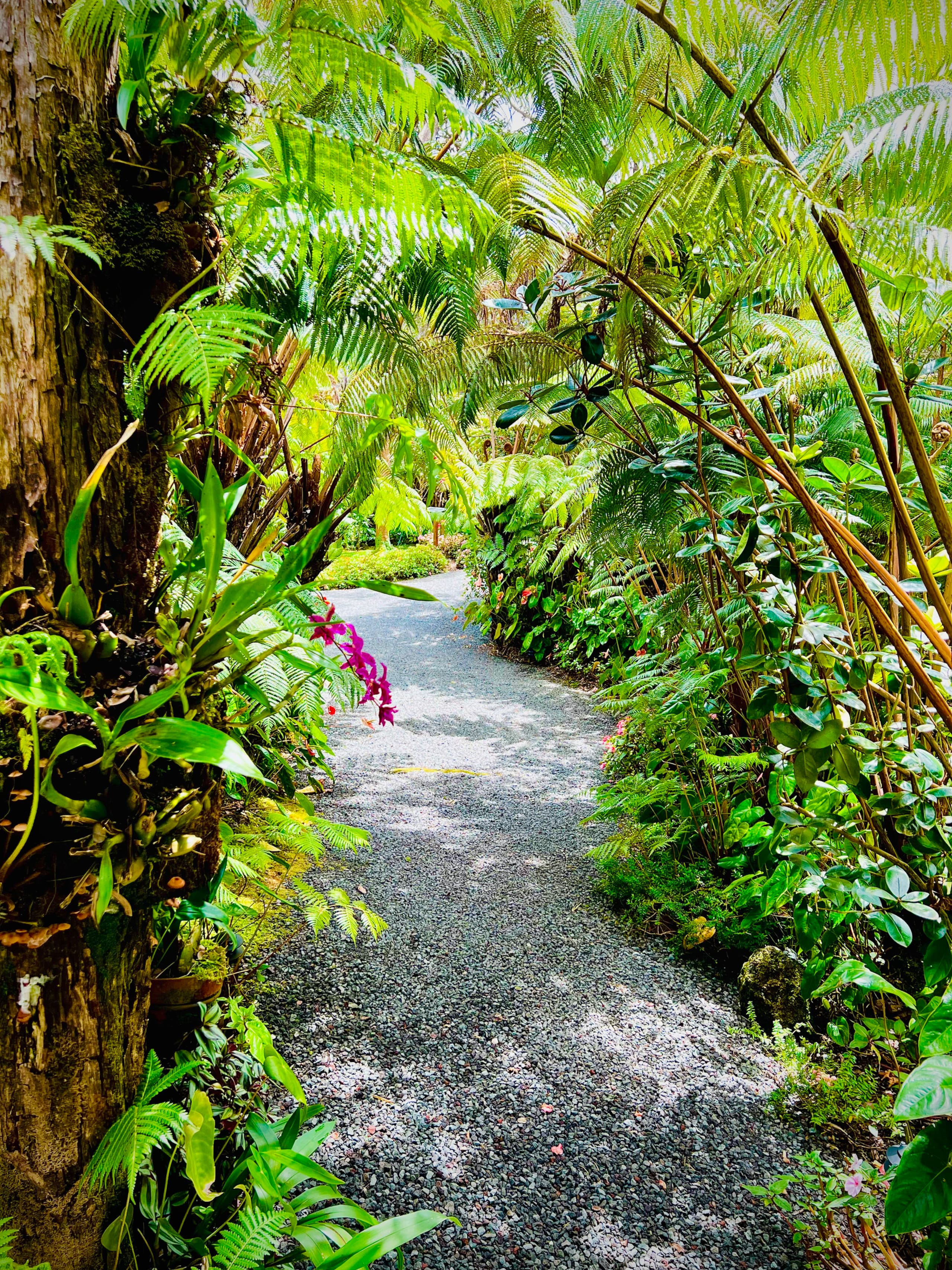 Guesthouse in Volcano · ★4.99 · 1 bedroom · 1 bed · 1 bath - Image 14