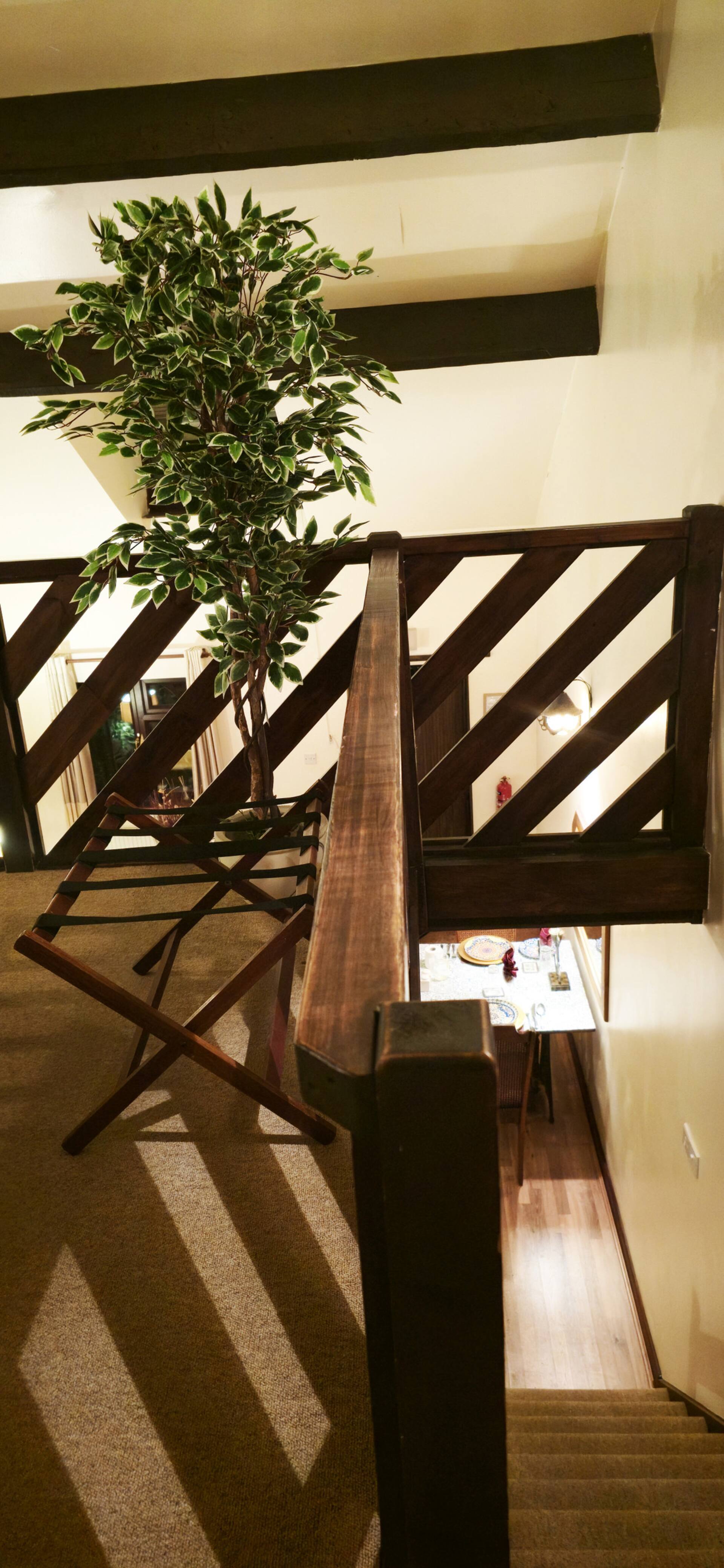 Langford Apartments and Rooms — photo 4