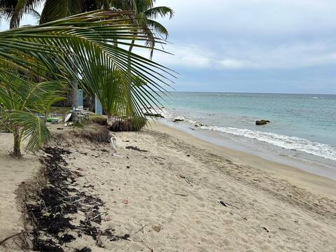 Garden Level 104A Beach Access Villa
