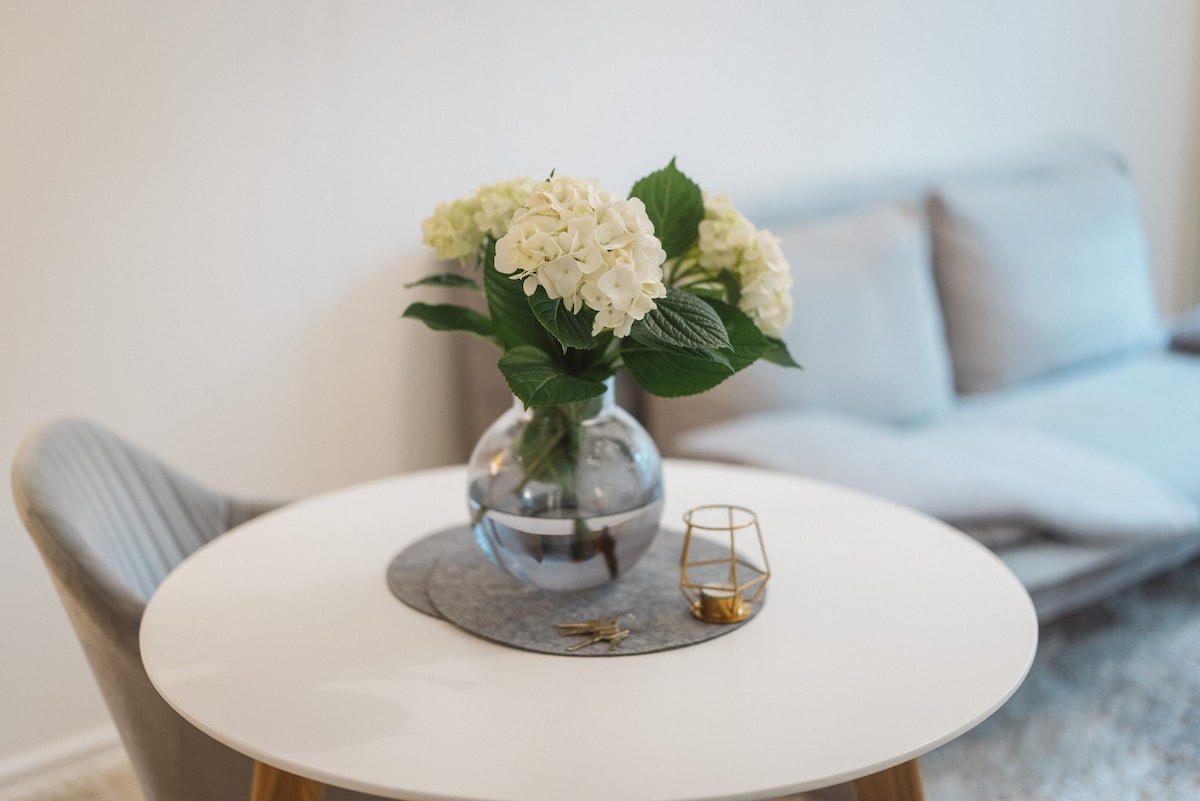 Beautiful apartment in the center of Cologne