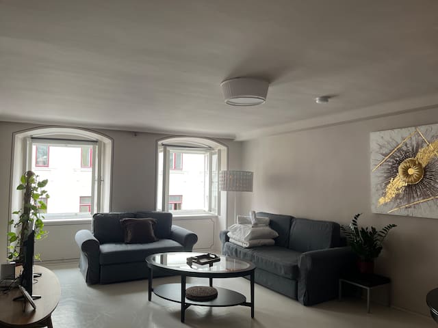 Stylish 4th-Floor Apartment in Vienna’s Heart