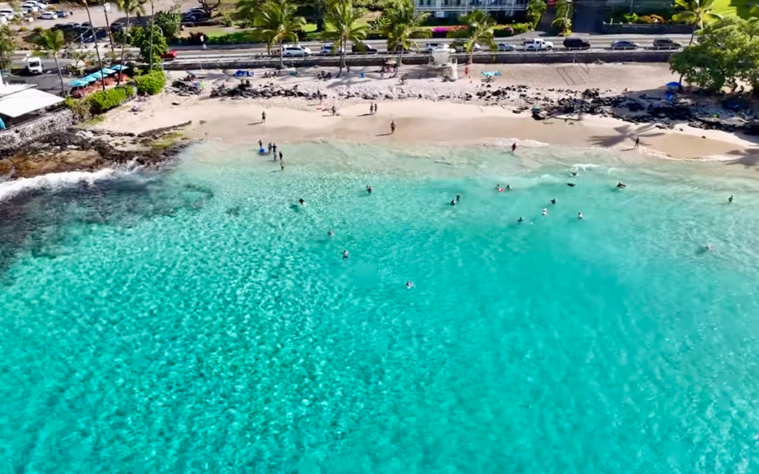 Walk to Magic Sands Beach! No cleaning fee - Image 1