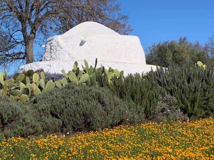 Puglia, Campagna, Ulivi -  Trulli A Ostuni - Salento