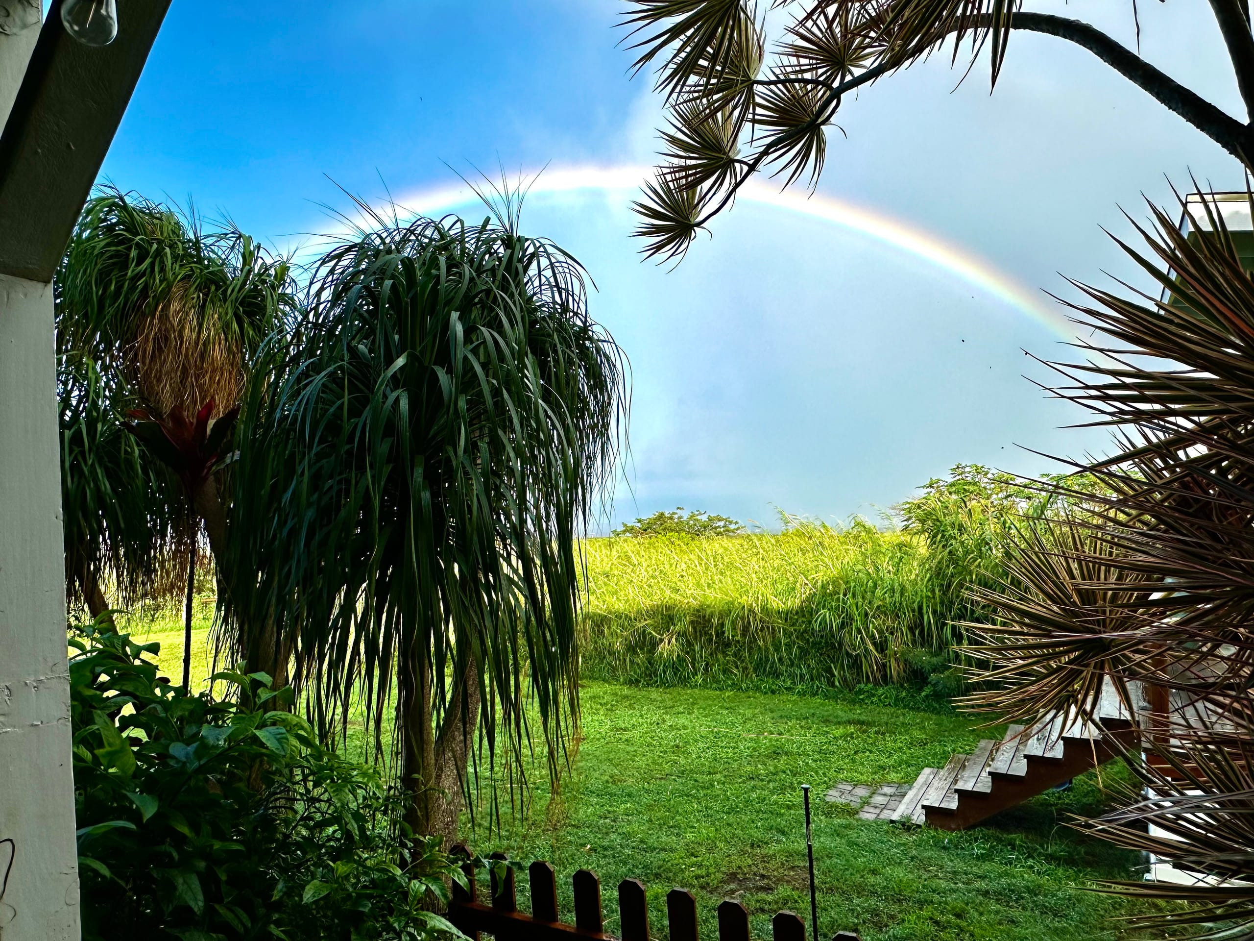 Spectacular Ocean Views • Private Studio• King Bed - Image 27