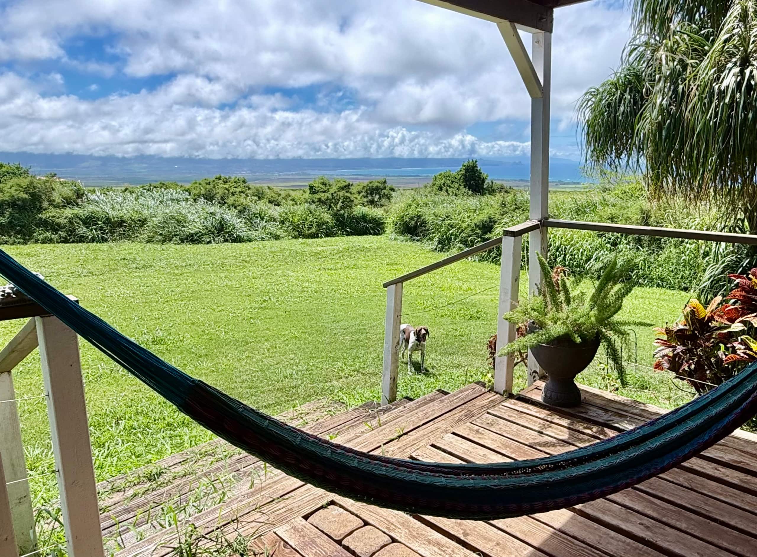 Spectacular Ocean Views • Private Studio• King Bed - Image 17