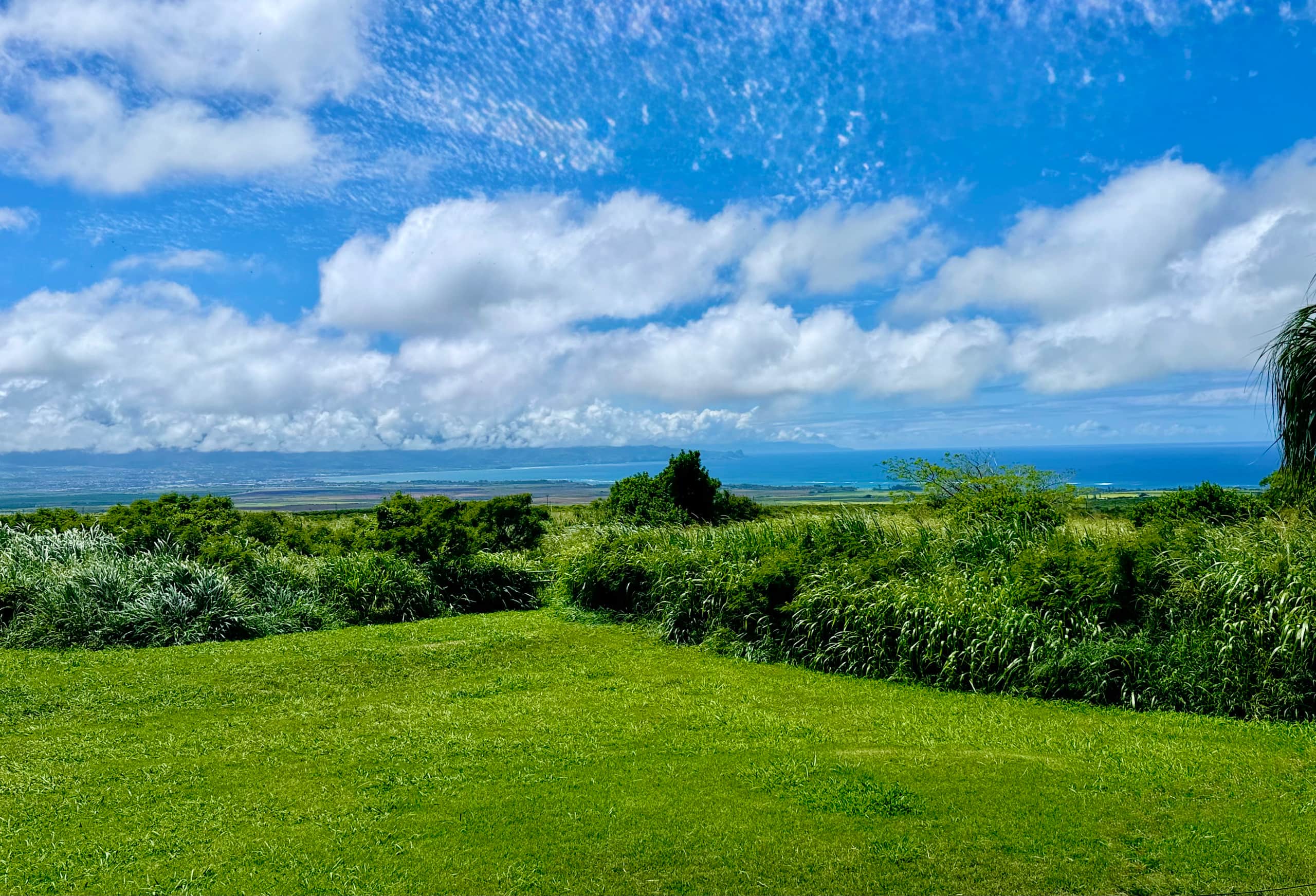 Spectacular Ocean Views • Private Studio• King Bed - Image 18