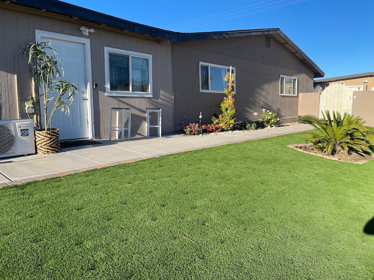 A modern exterior of the studio is shown, featuring a well-maintained lawn and a pathway leading to the entrance. A potted plant adorns the side of the door, with colorful flowers and a palm plant enhancing the landscape. Large windows provide natural light.