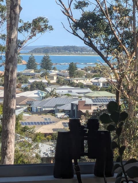 Ocean views, secluded + separate studio included