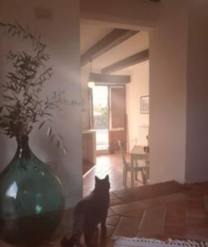 Fantastic Apartment In The Heart Of Toscana - Toskana