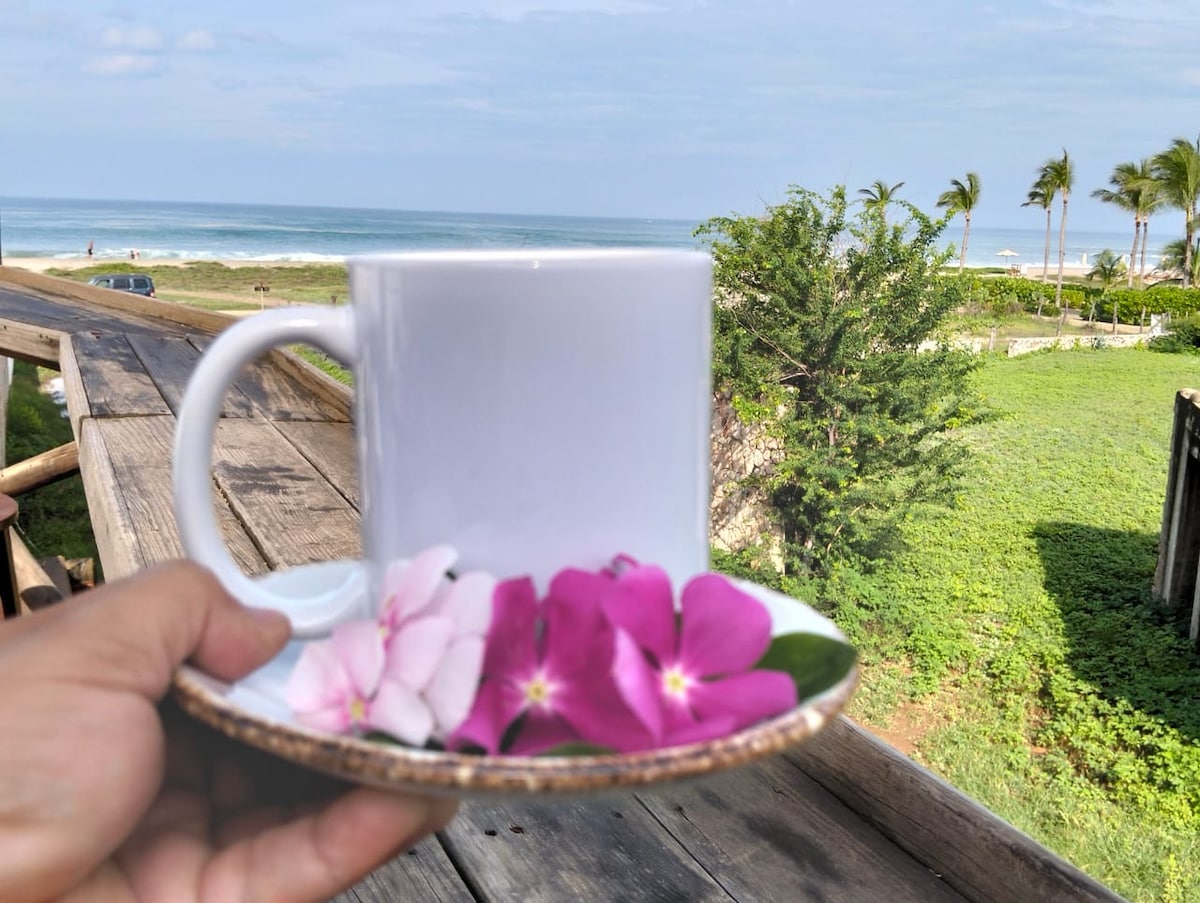 Palapa