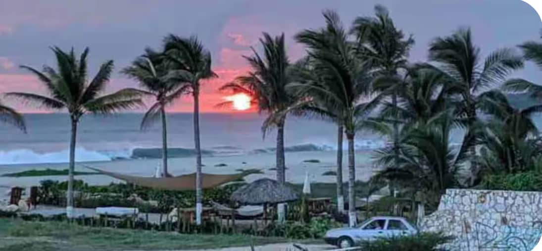 Palapa
