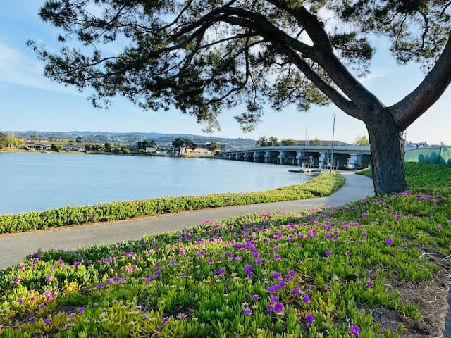 Elegant Modern 5BR/4BA in Heart of Silicon Valley