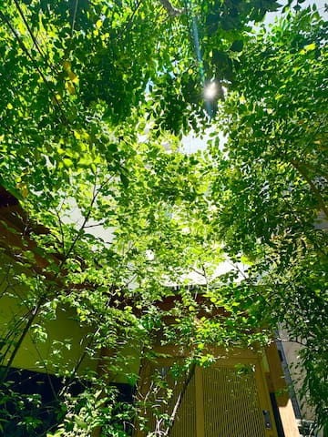 【2棟プライベート貸切！】庭付き 建物総面積約130㎡ 最大8名！駅近 畳 床暖房、Wi-Fi完備